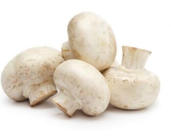 Champiñon Granel (precio por kg)