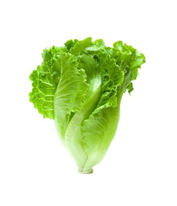 Lechuga Bolsa 2 Unidades