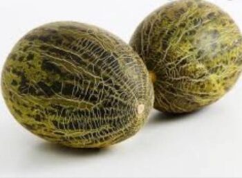 Melon Bollo (precio por kg)