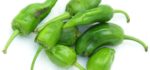 Pimiento Padrón (precio por kg)